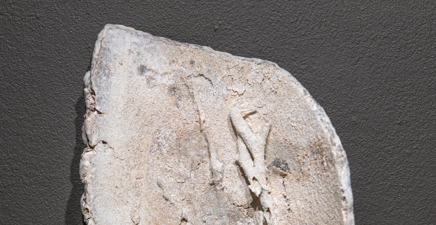 Wall Hanging Ceramic Tile