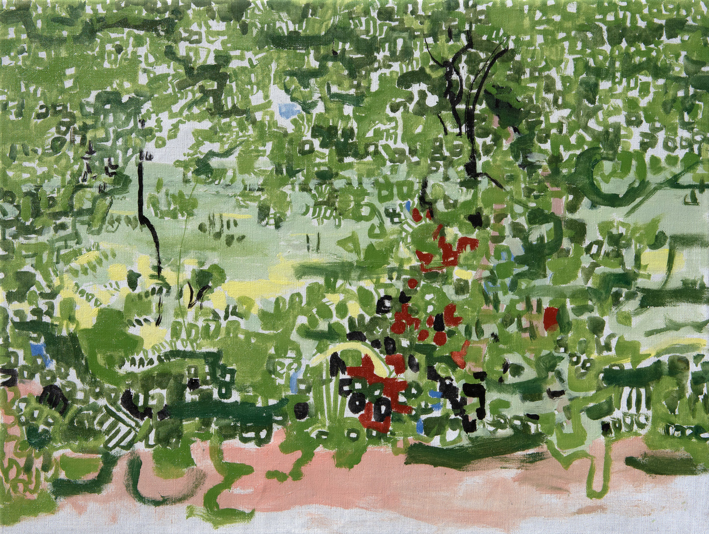 Valley through the Trees
