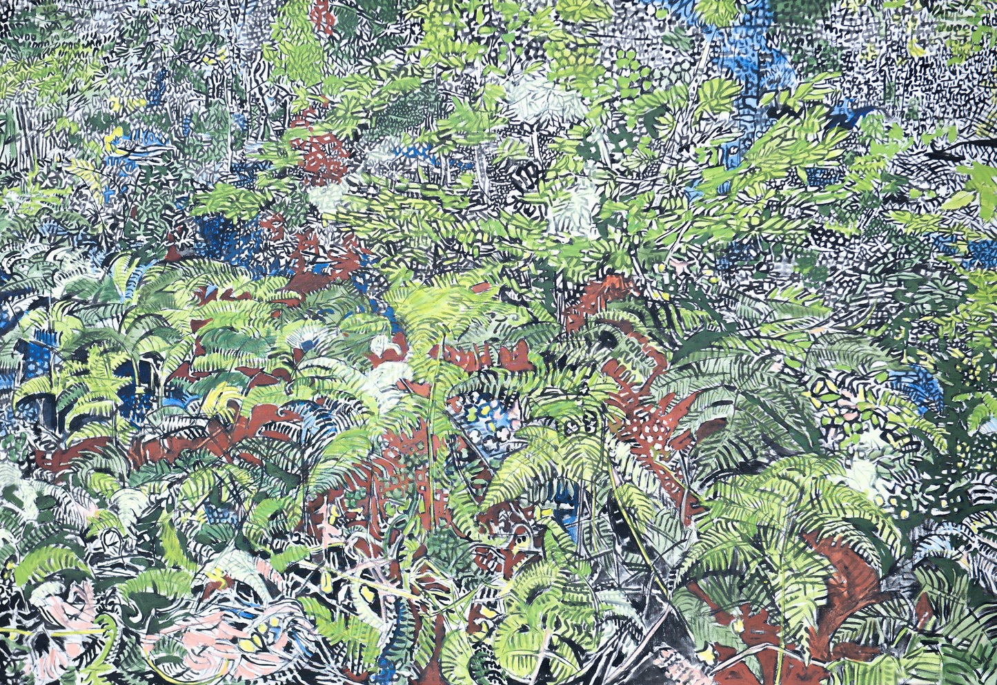 Ferns and Bracken