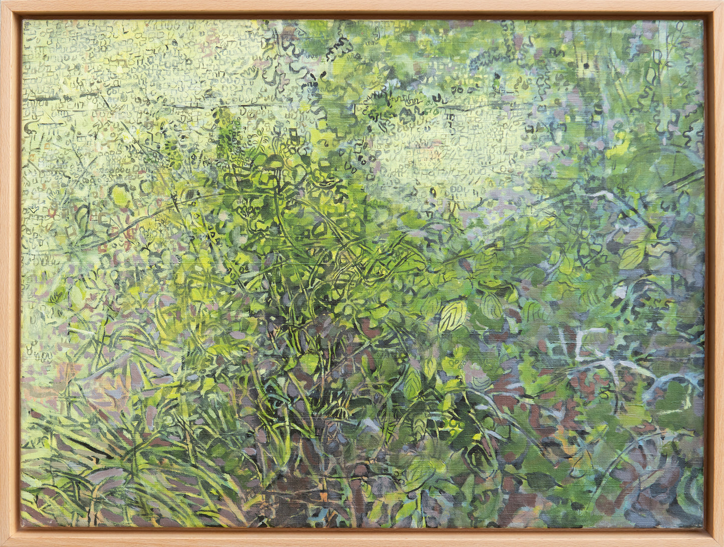 Sunlight through Foliage