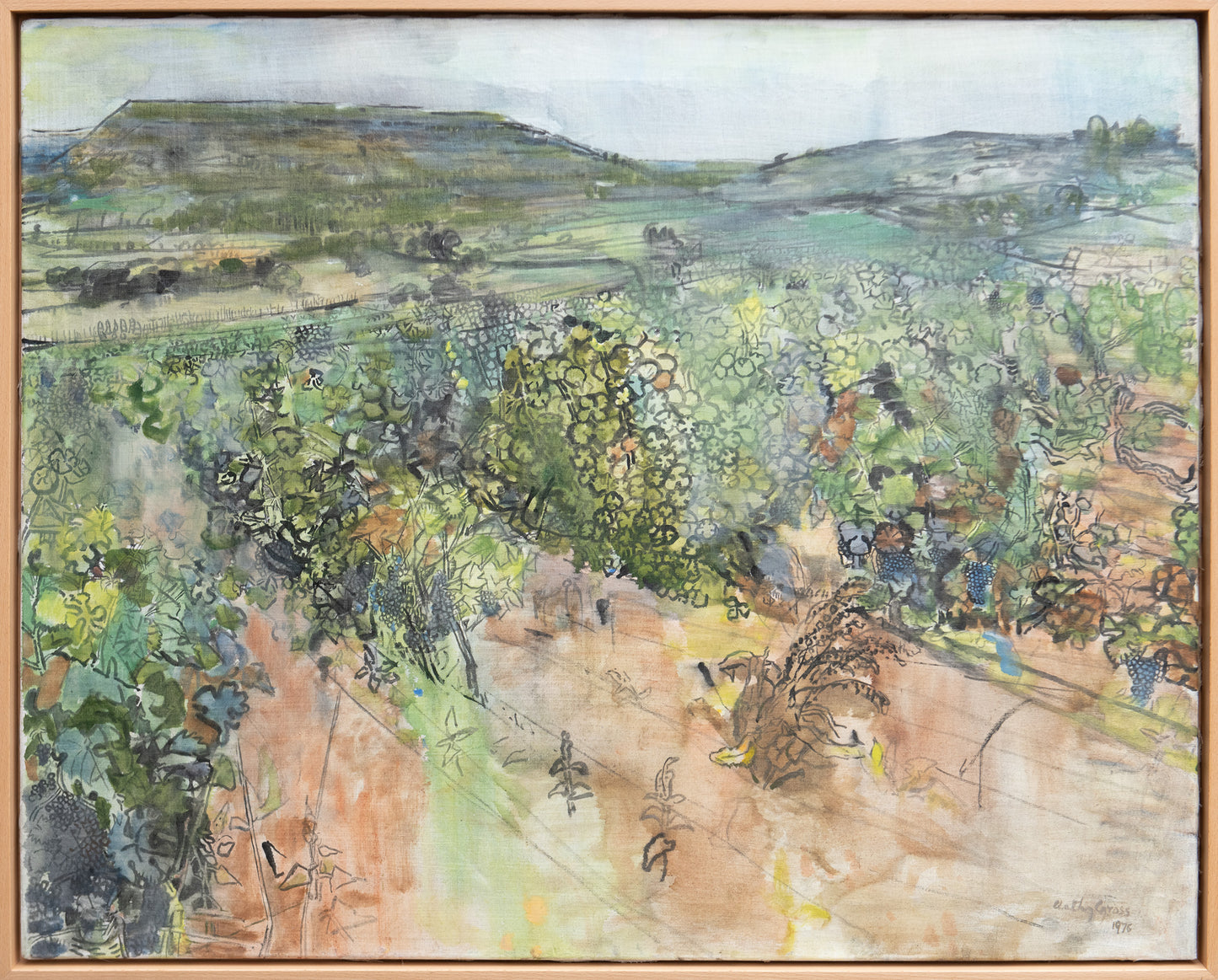 Lot Valley, Vineyard