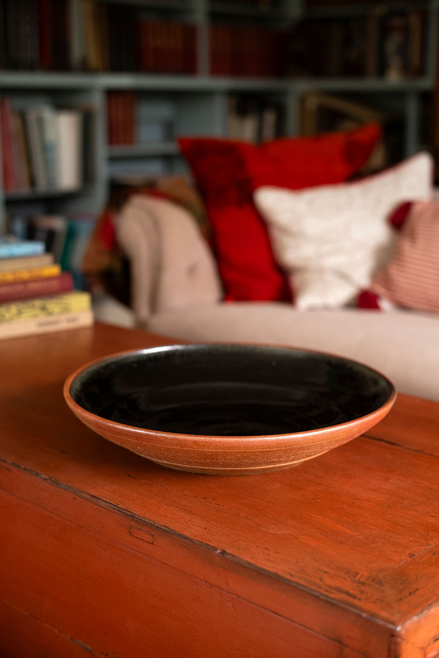 Large Dish