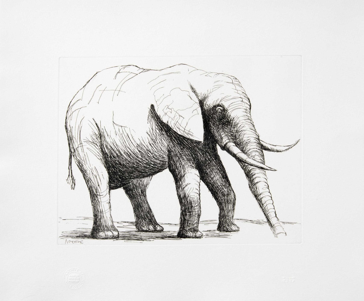 Elephant