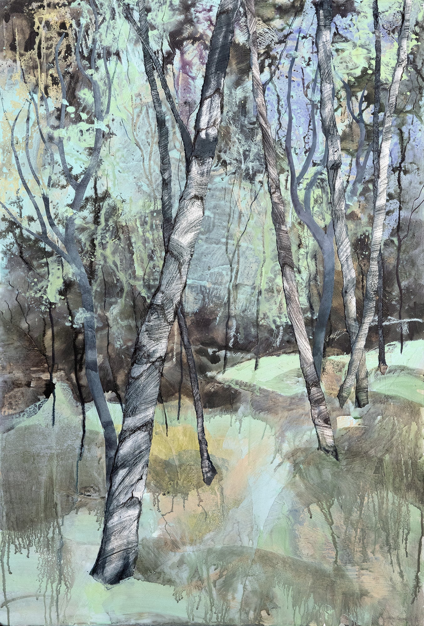 Dappled Light in the Young Forest