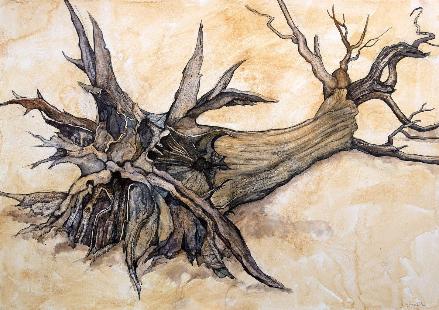 Portrait of the 'Shipwreck Tree'