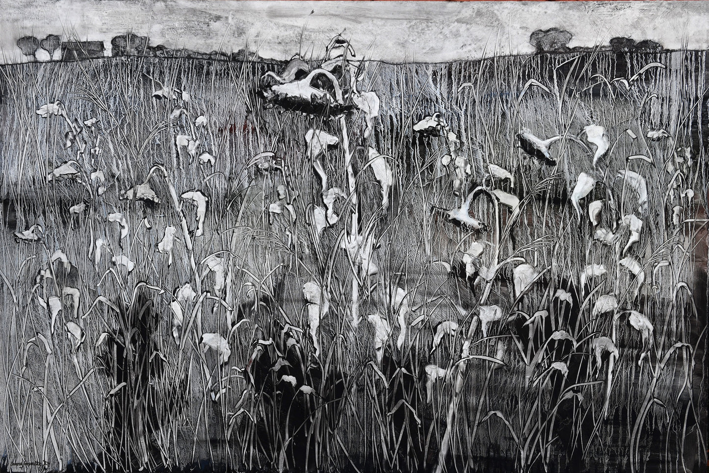 Wild Flower Meadow in October