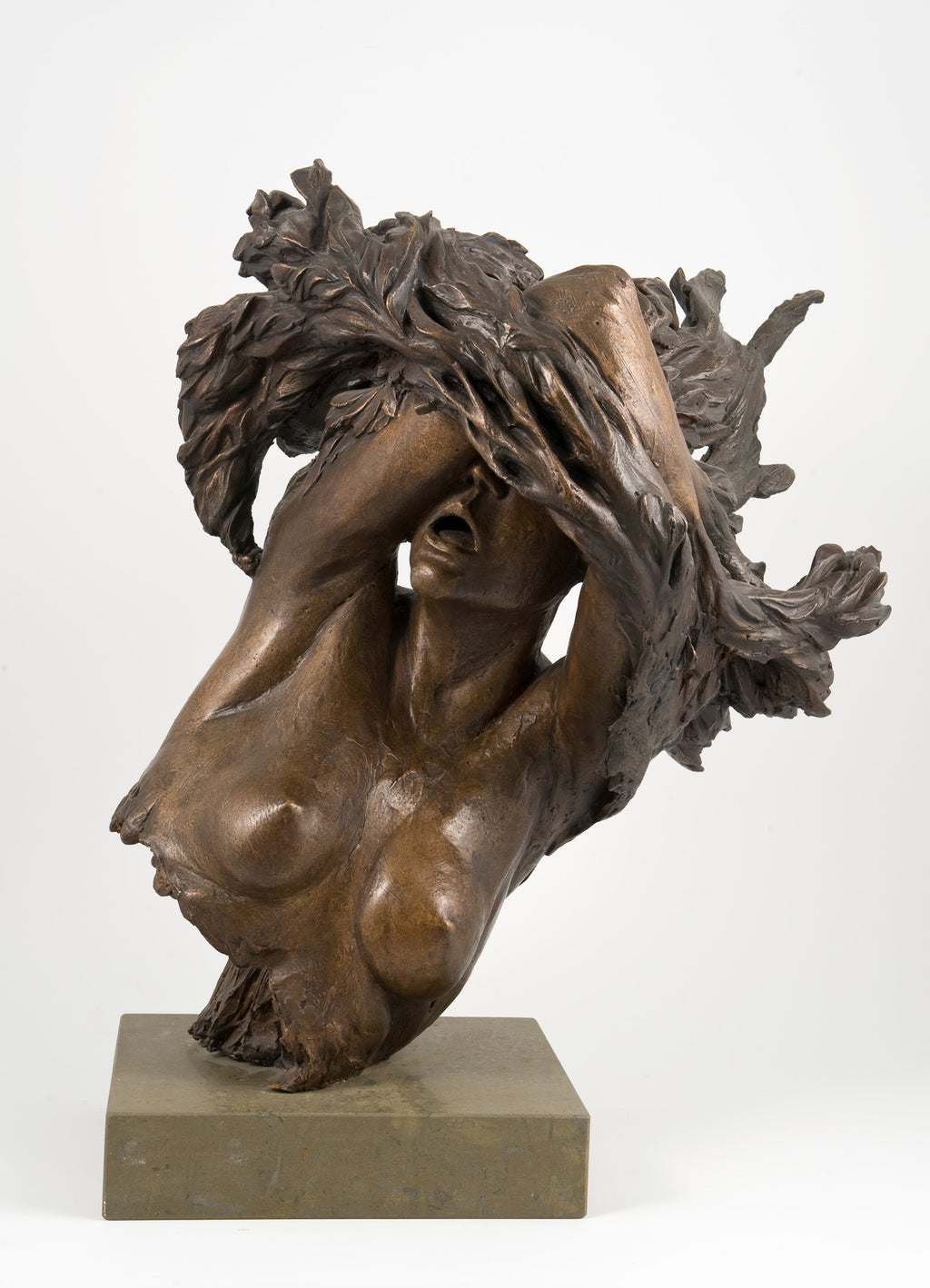 Metamorphosis of Daphne - Bust