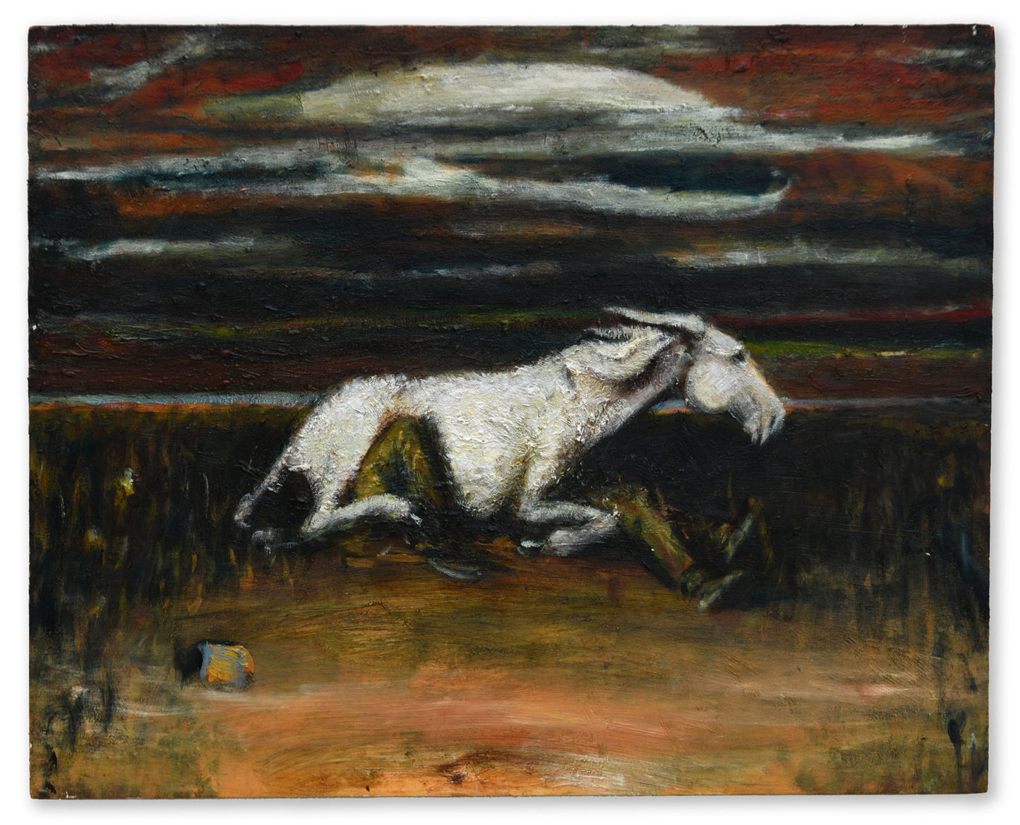 Donkey After a Storm