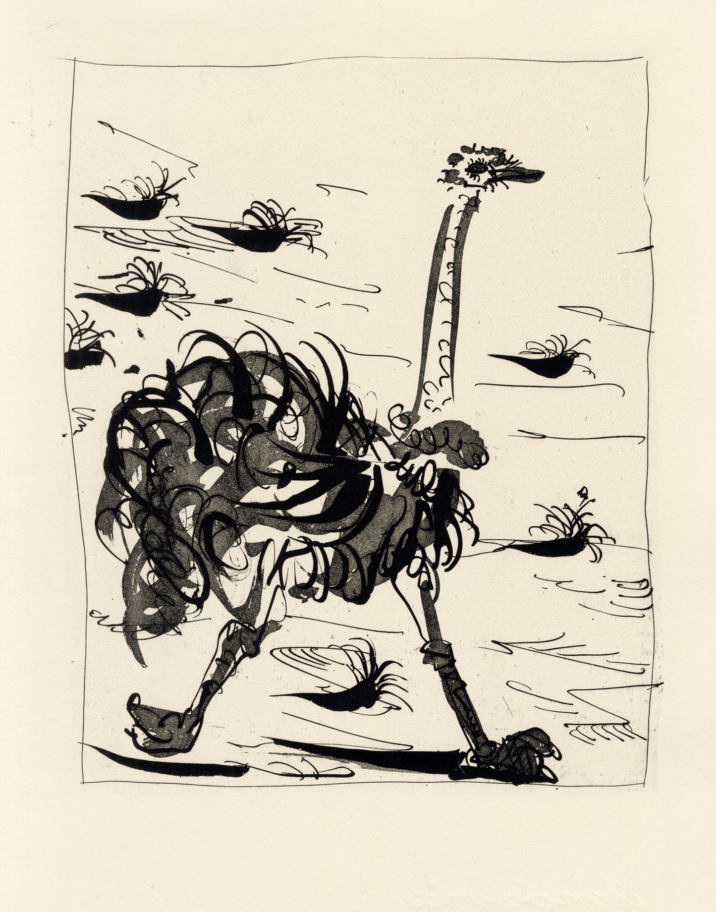 L'Autruche