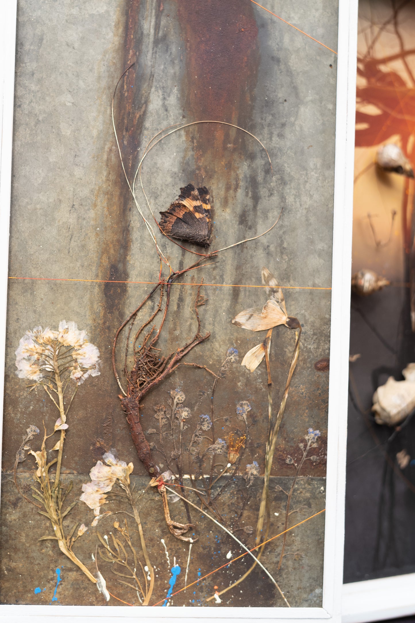 A Bird of Divination