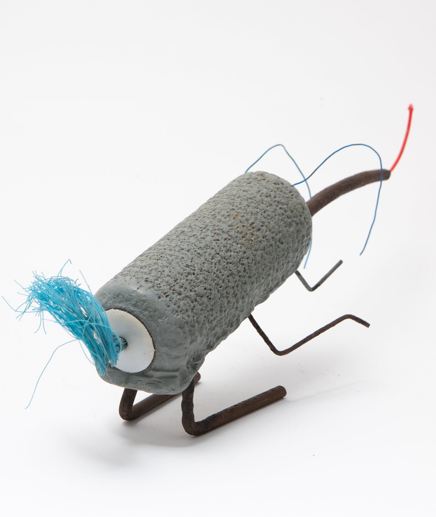 Grey-Roller Weevil