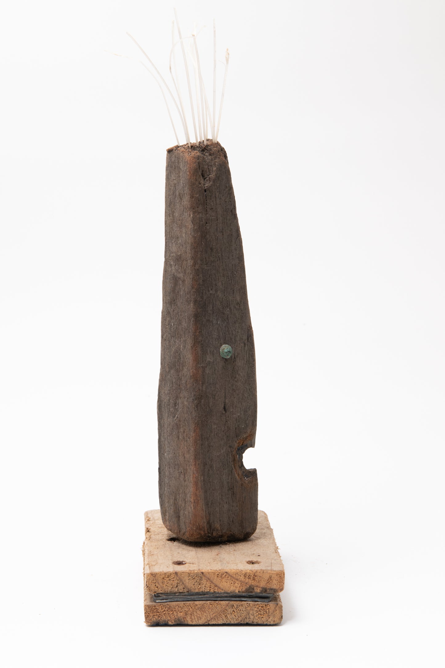 Primitive