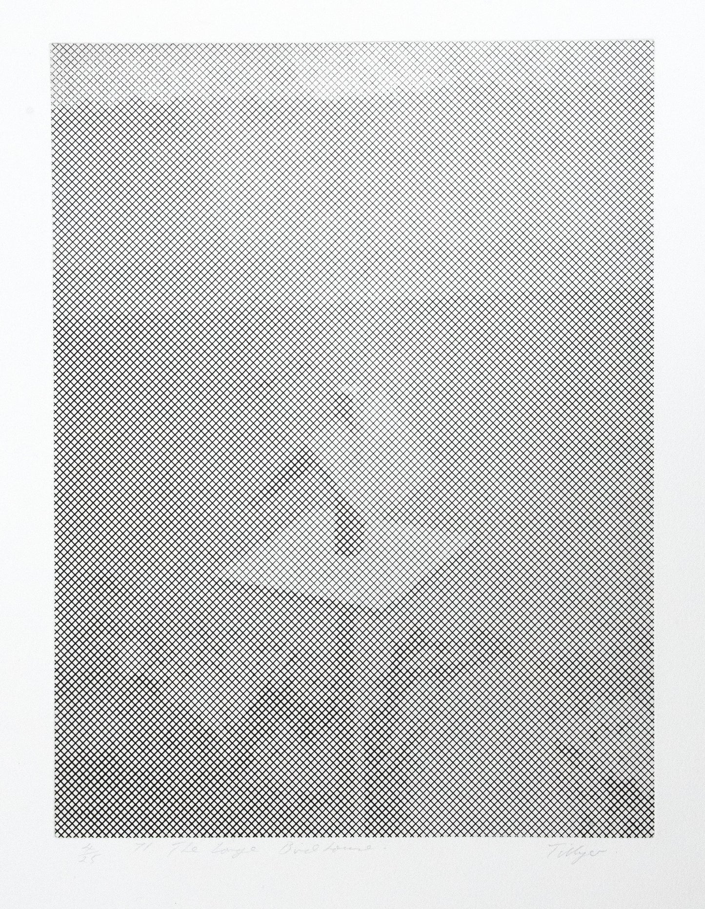 The Large Bird House