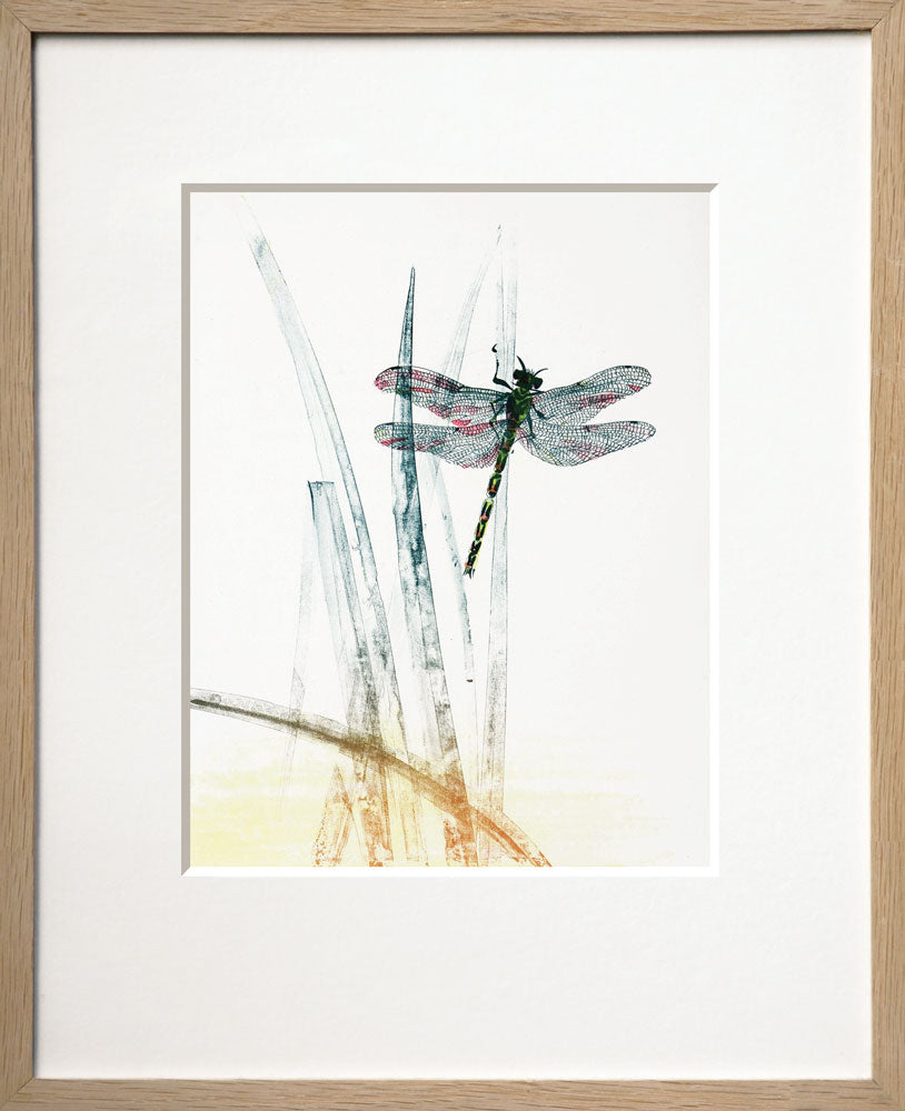 The Dragonfly (La Demoiselle)