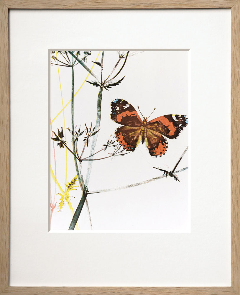 The Butterfly (Le Papillon)