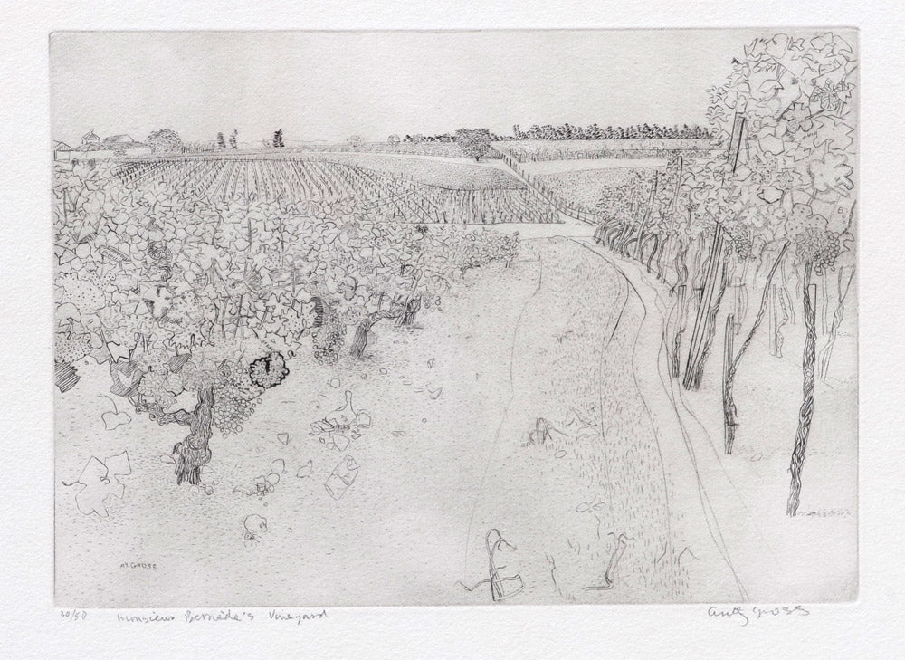 Monsieur Bern??de's Vineyard no I