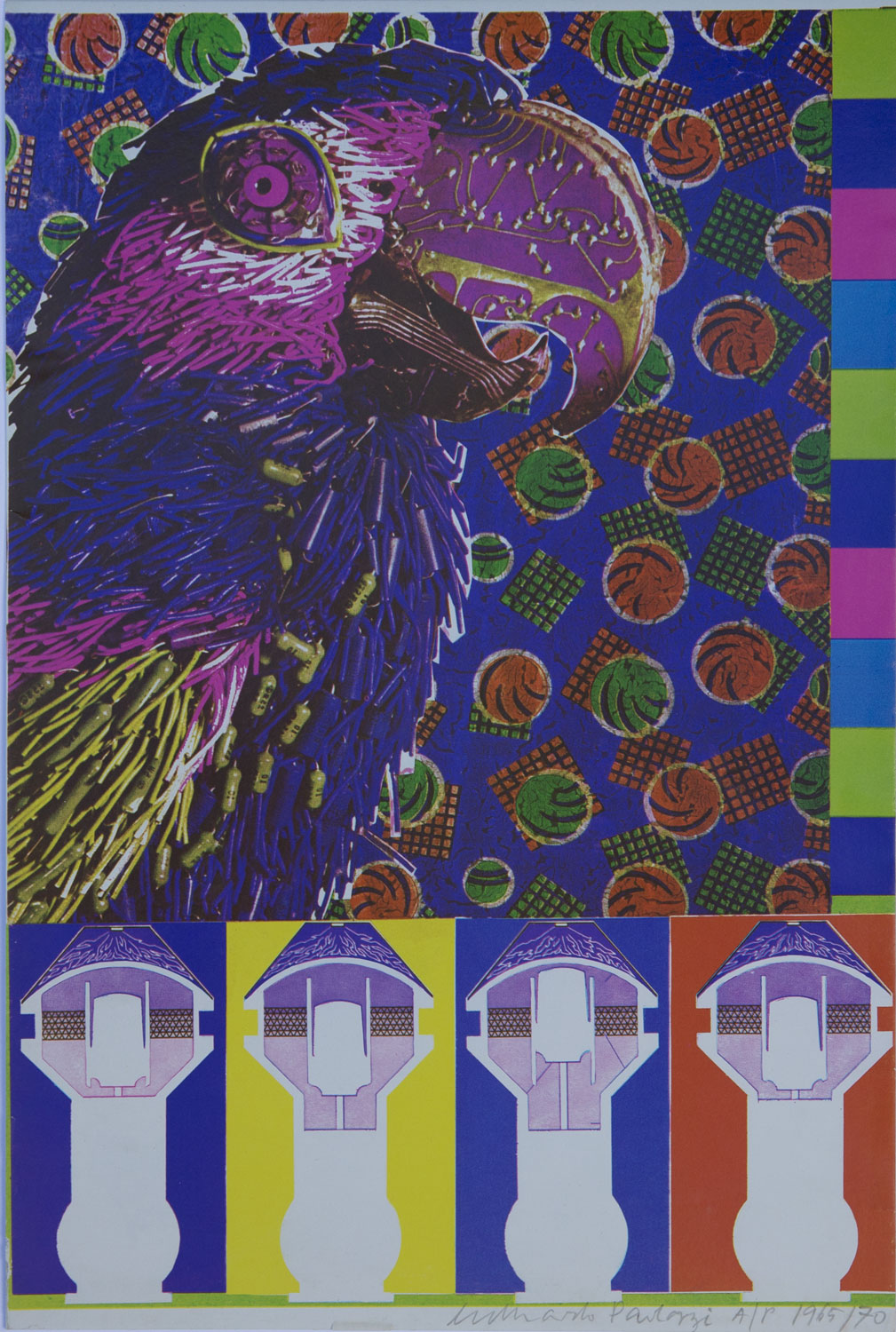 Will Man desert the Dog for the Dolphin?