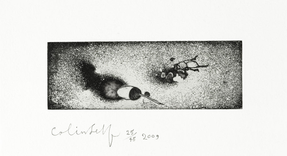 A Beetle and an Acorn