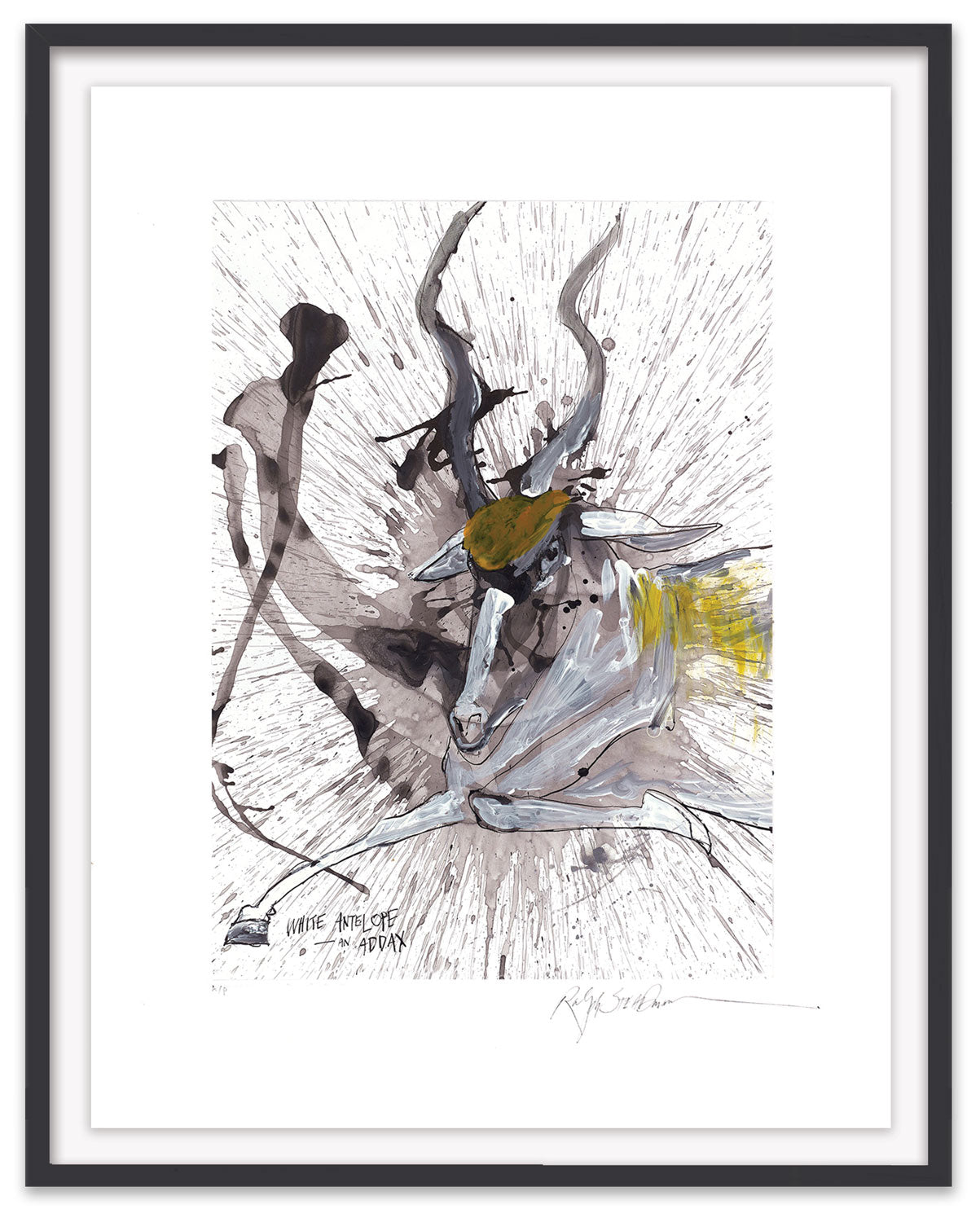 Addax (White Antelope)