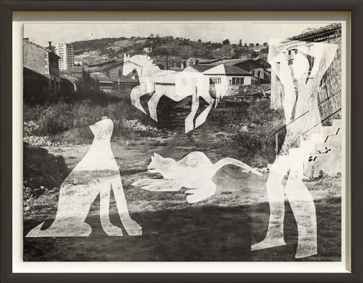 L'Homme aux Chats II