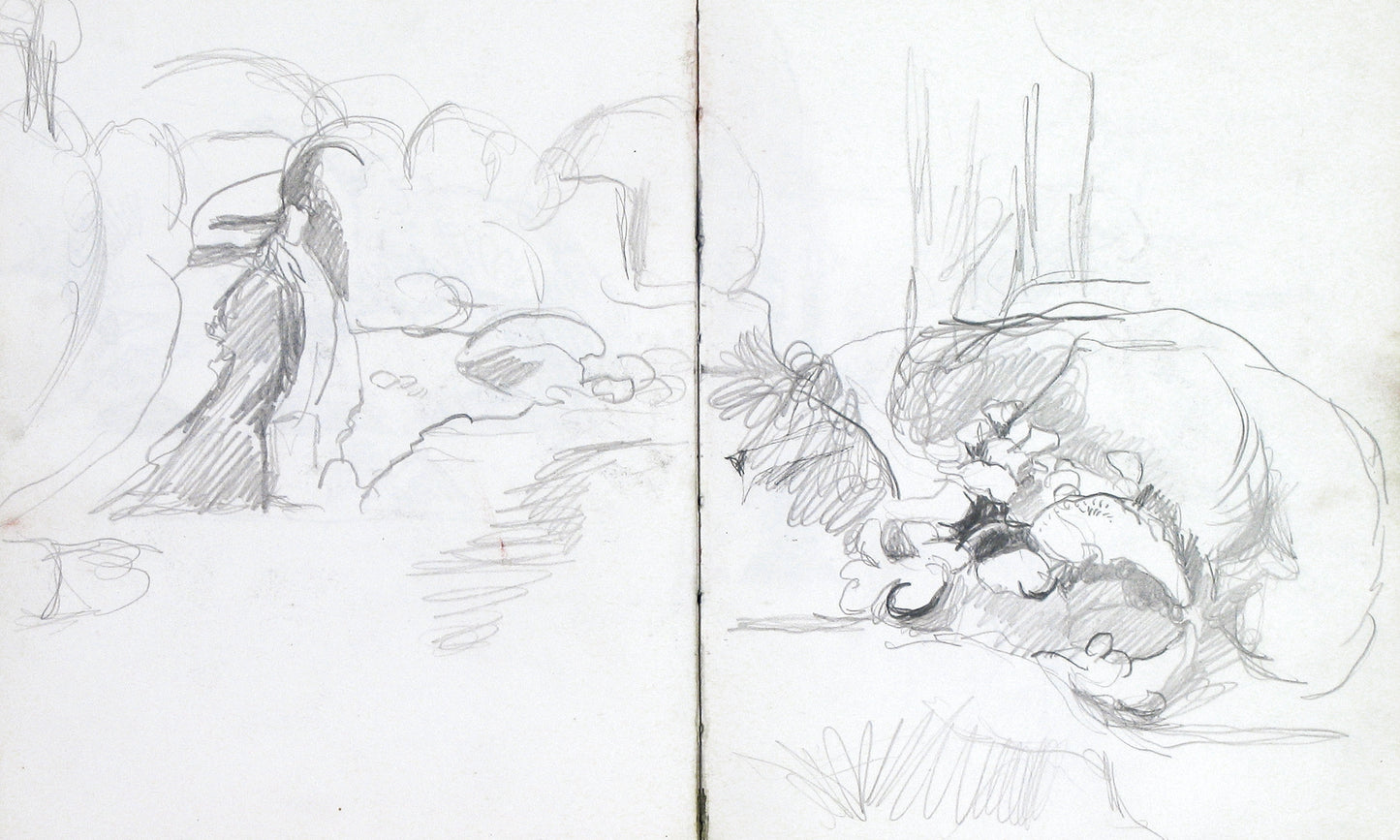 Trees, Rocks and Paths