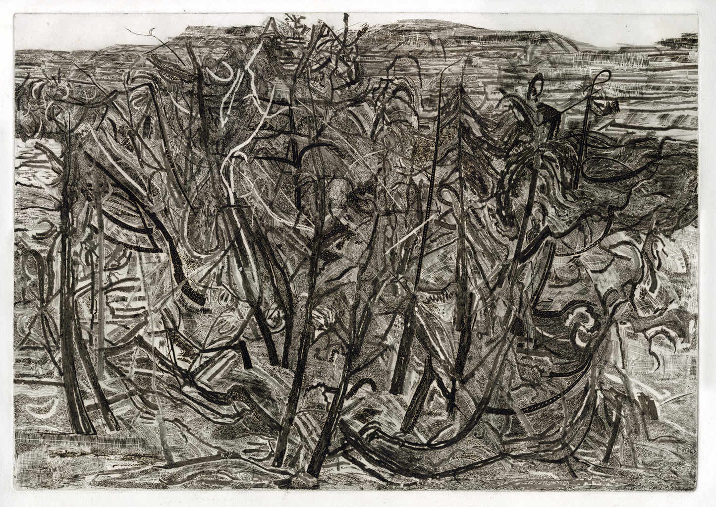 Landscape with Juniper