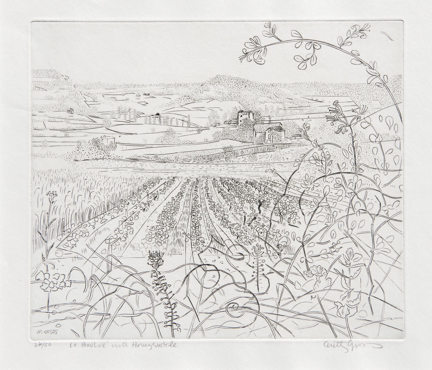 Le Boulvé with Honeysuckle