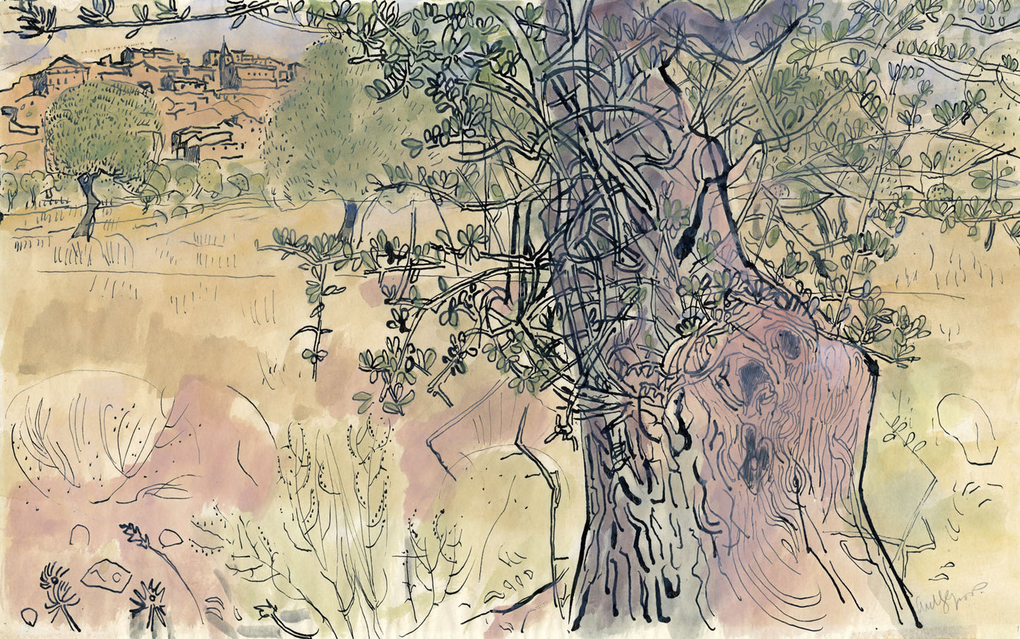 Olive Grove, Aragon