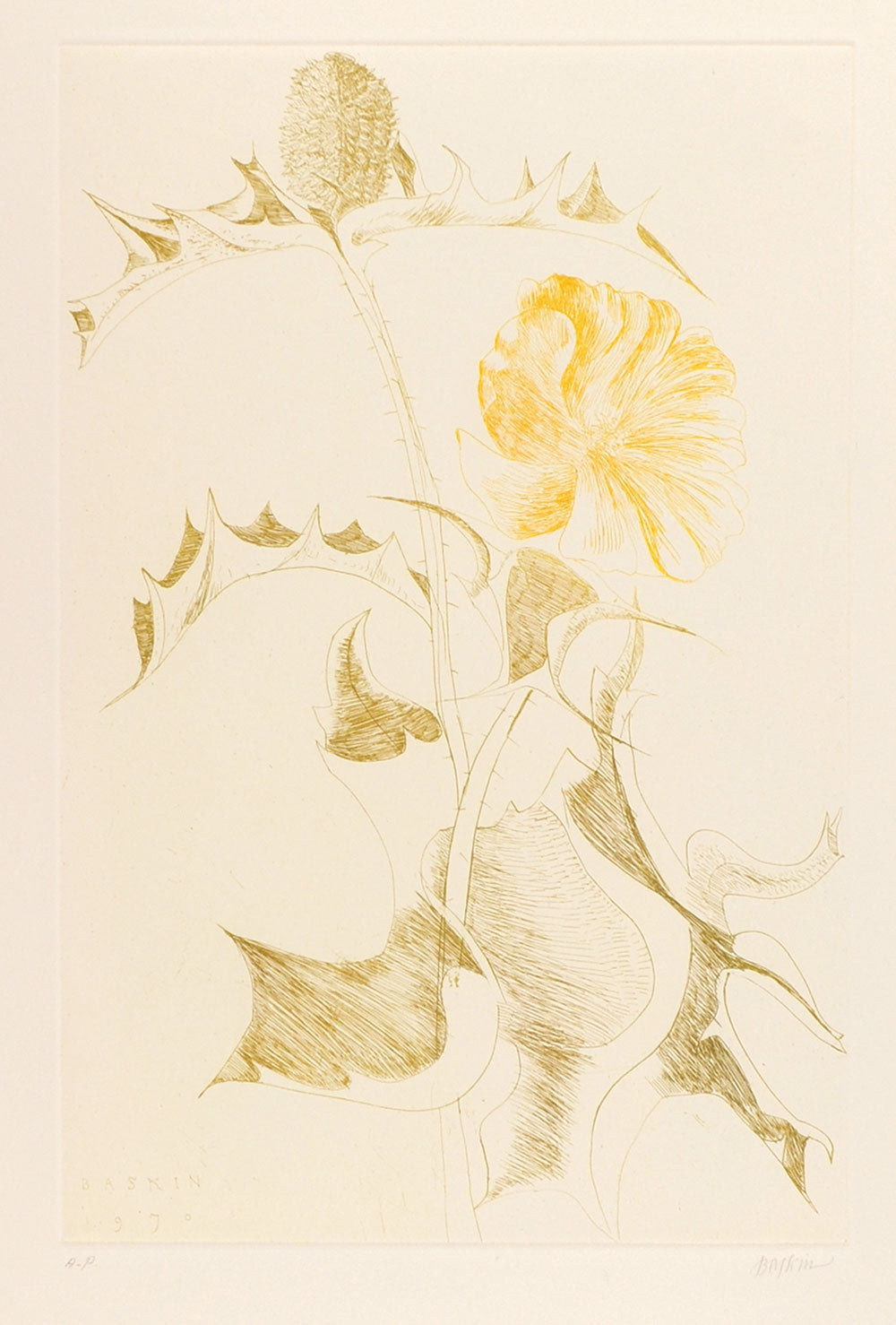 Thistle and Yellow Flower