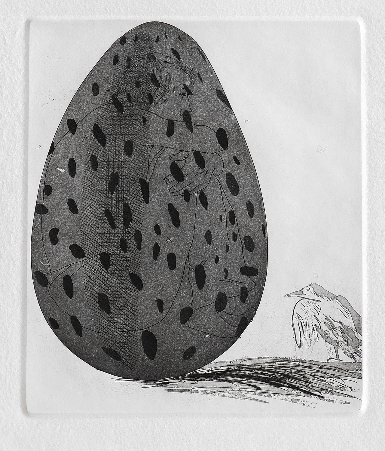 The Boy Hidden in an Egg