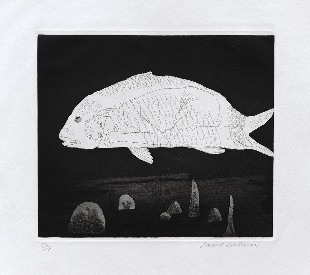 The Boy Hidden in a Fish