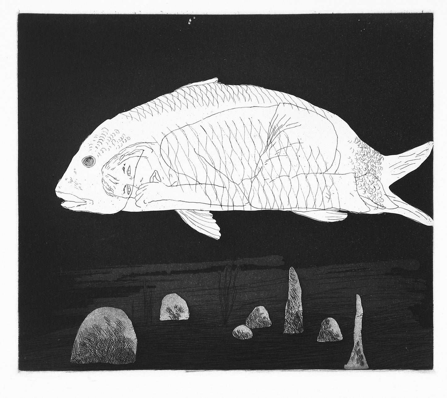 The Boy Hidden in a Fish