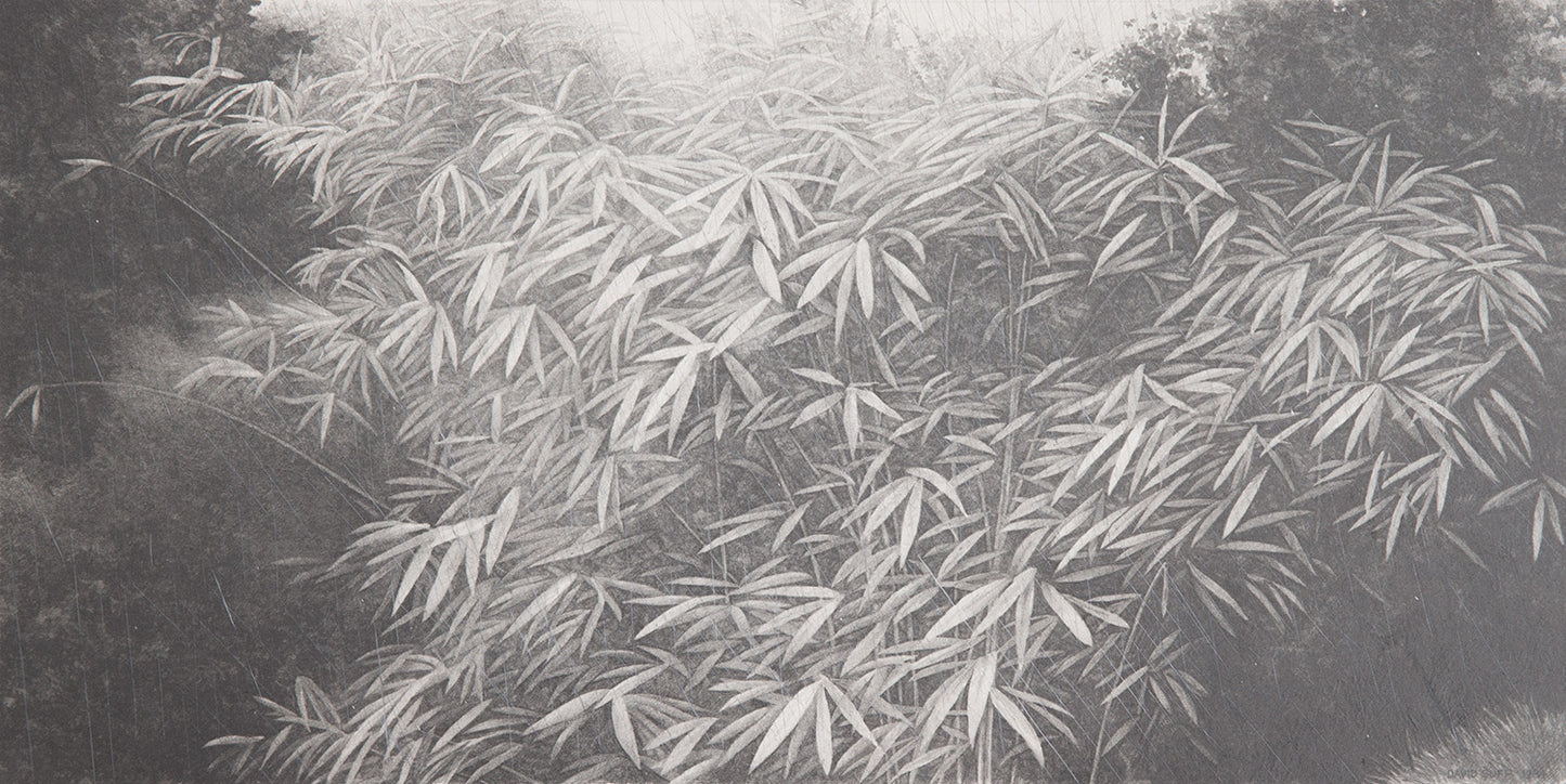 Endangered Garden: Rain-blown Bamboo