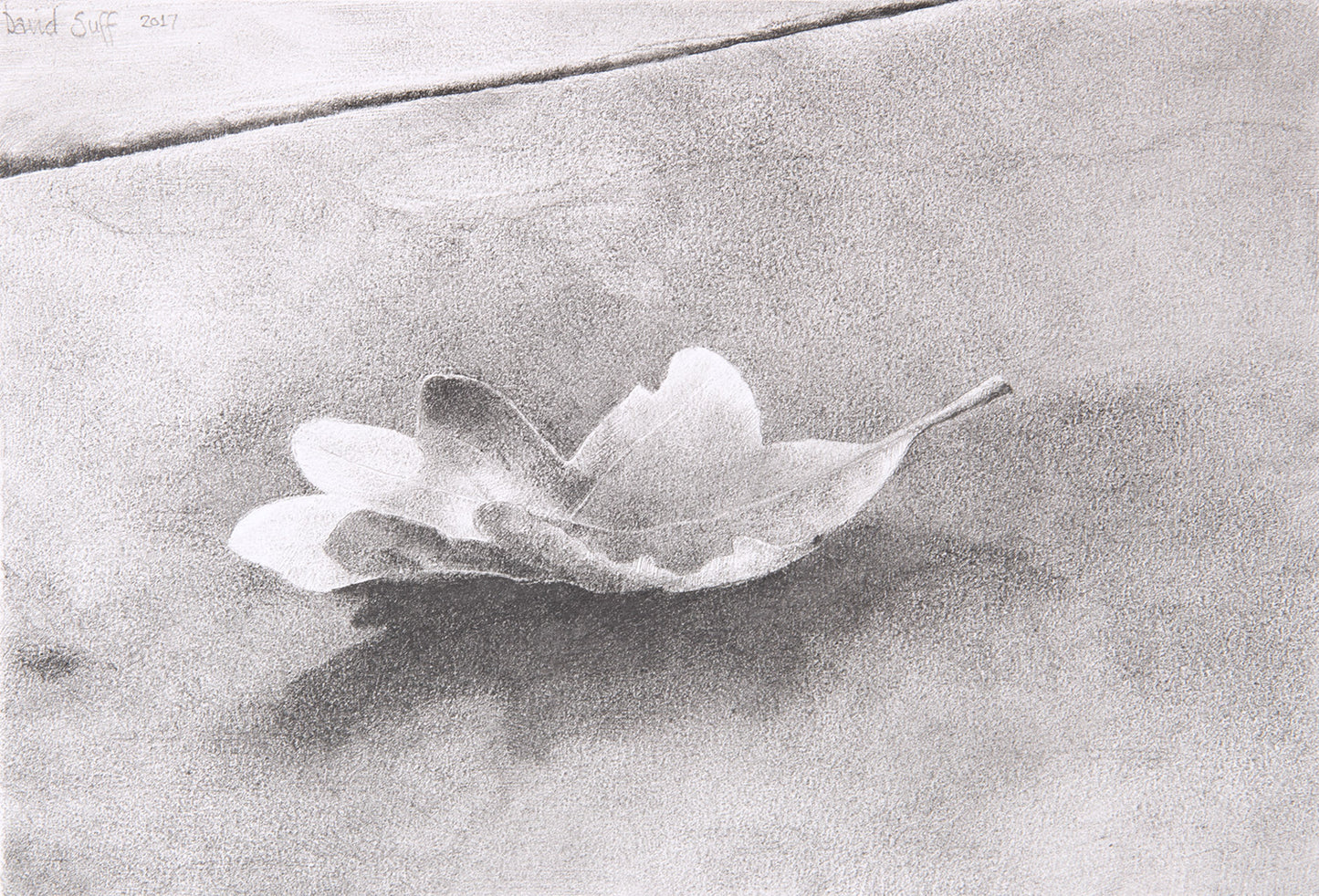 Study for Wm. Blake's Leaf