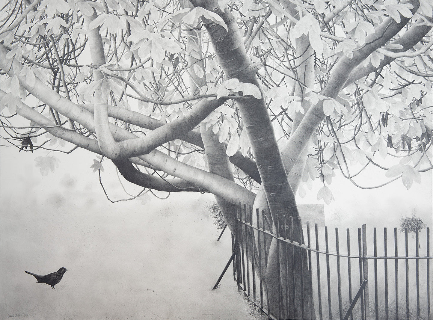 Wm. Blake's Tree, Bunhill Fields