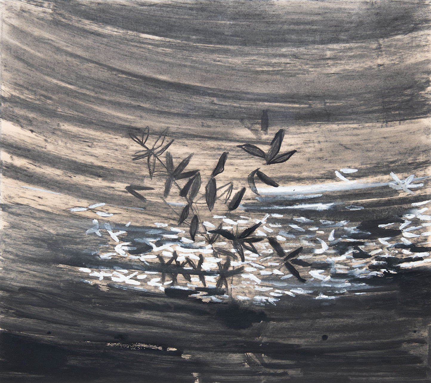 Leaves Over a Pool, Ronda, Spain