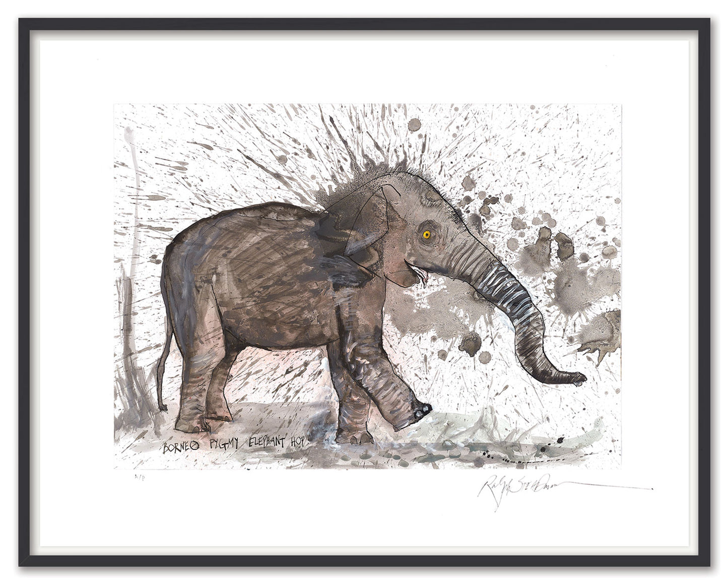 Borneo Pygmy Elephant