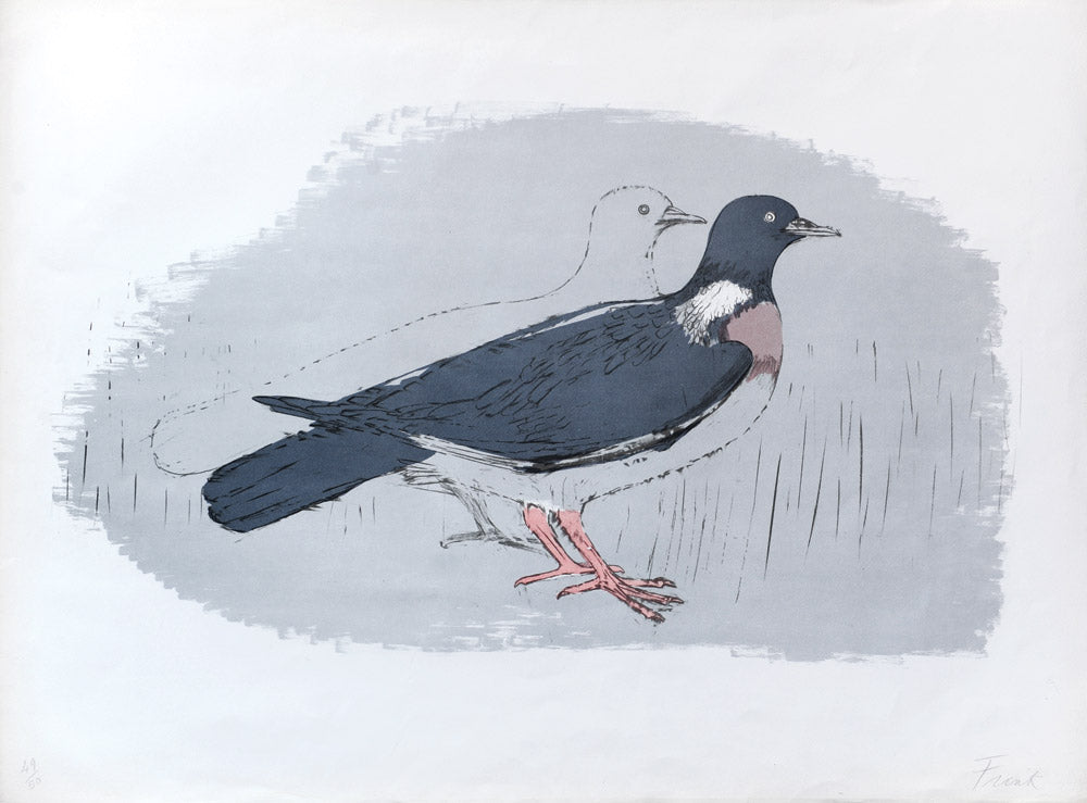 Wood Pigeon