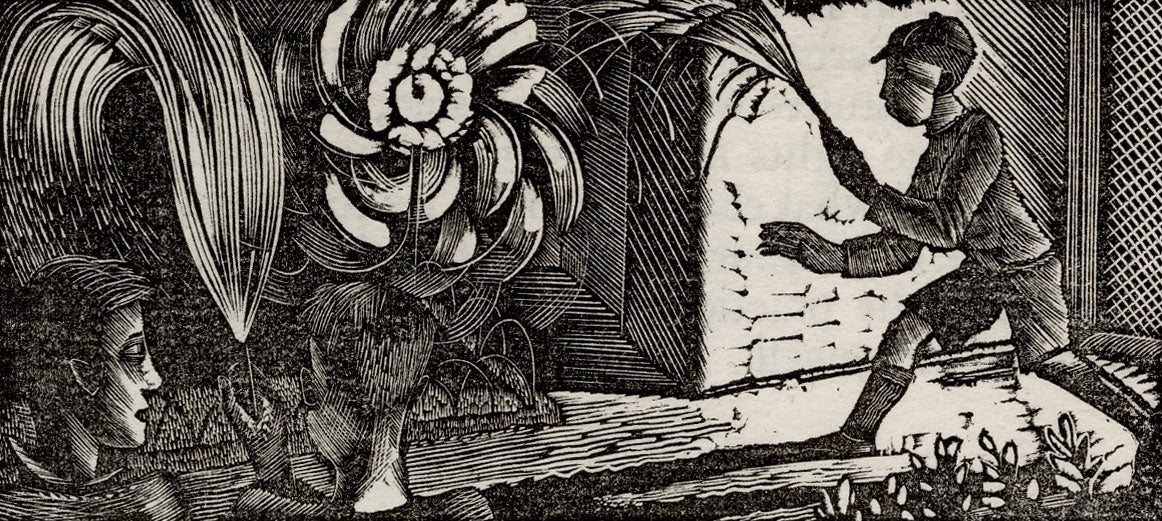 November - Fireworks