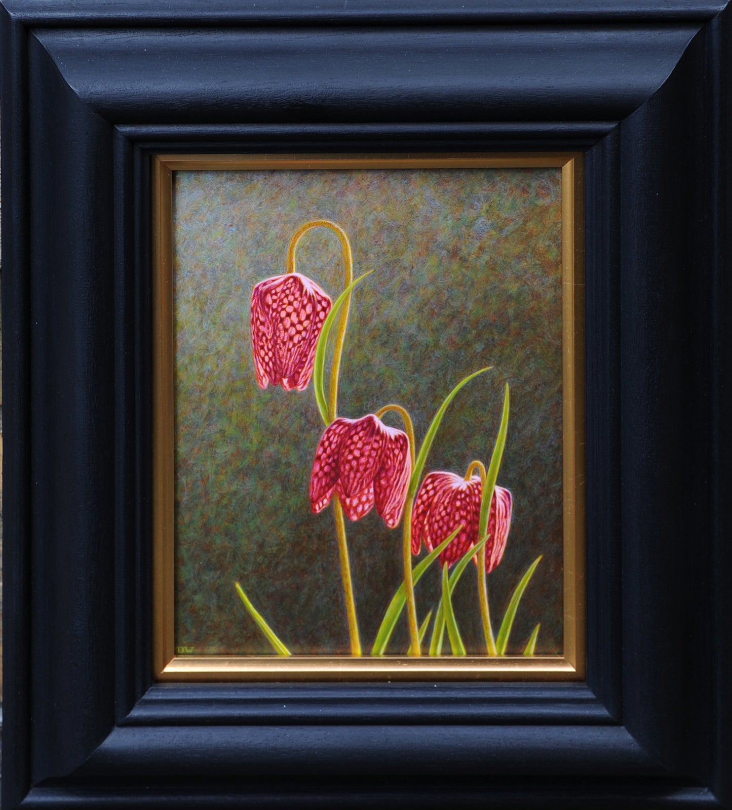 Fritillaria II