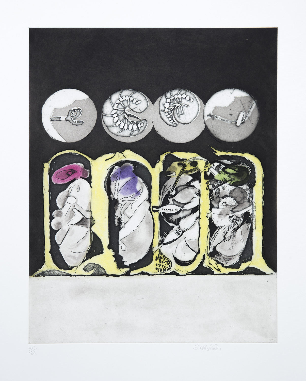 Metamorphosis: Egg, Larvae, Pupae