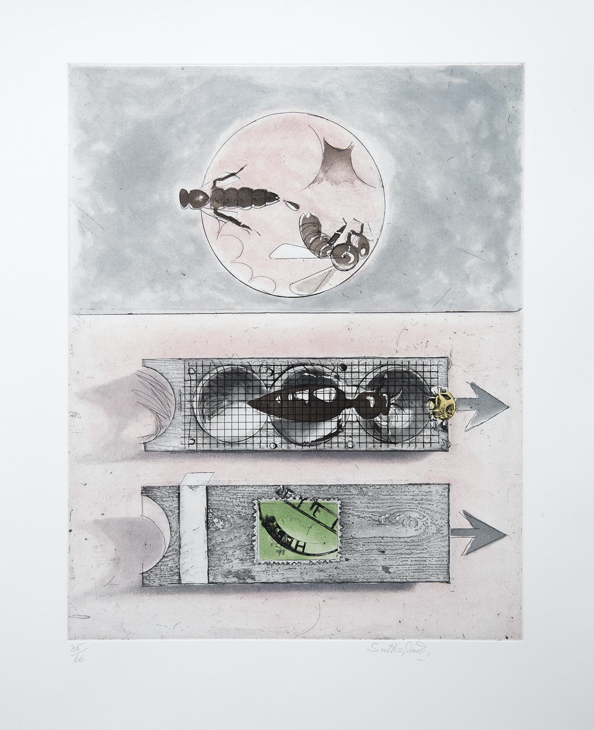 Nuptial Flight. The Dispatch of a Queen by Post