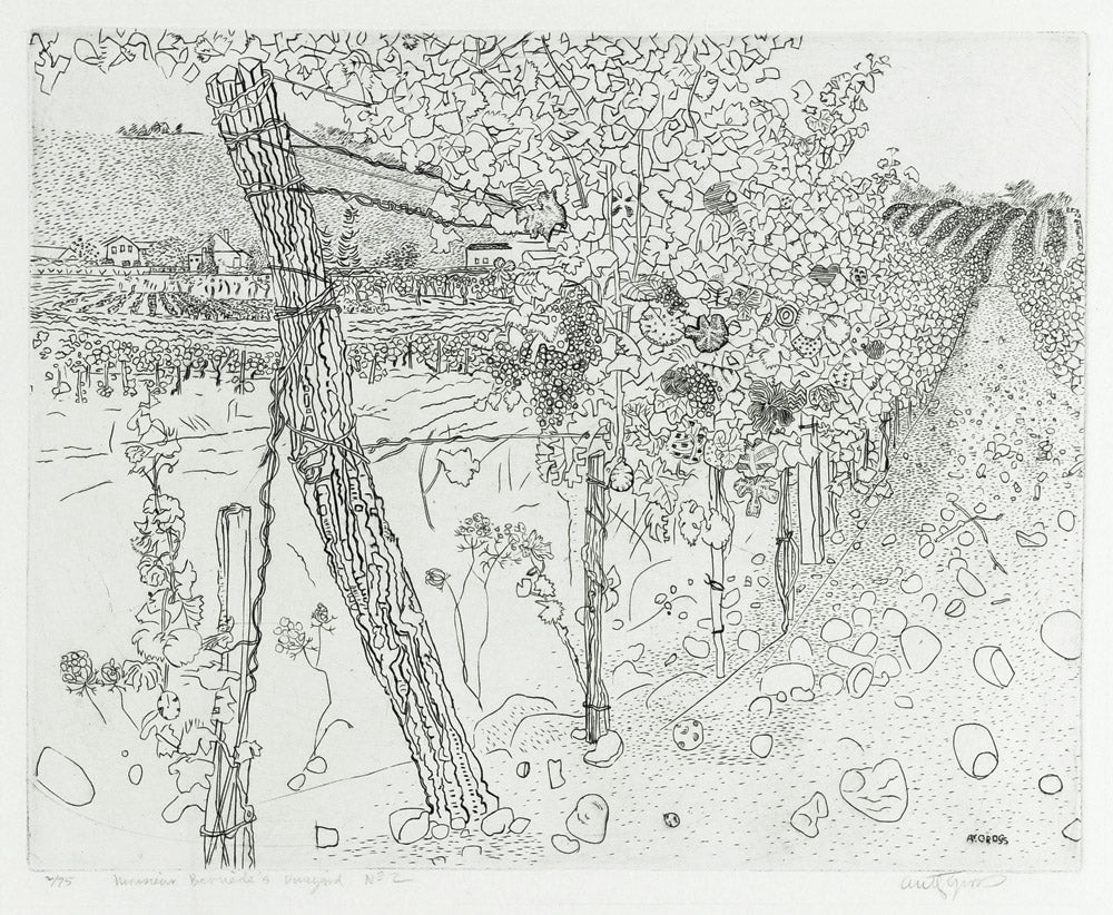 Monsieur Bern??de's Vineyard No 2