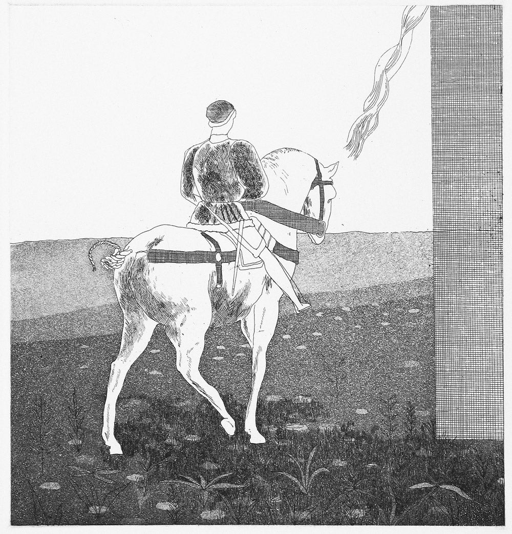 Rapunzel, Rapunzel Let Down Your Hair