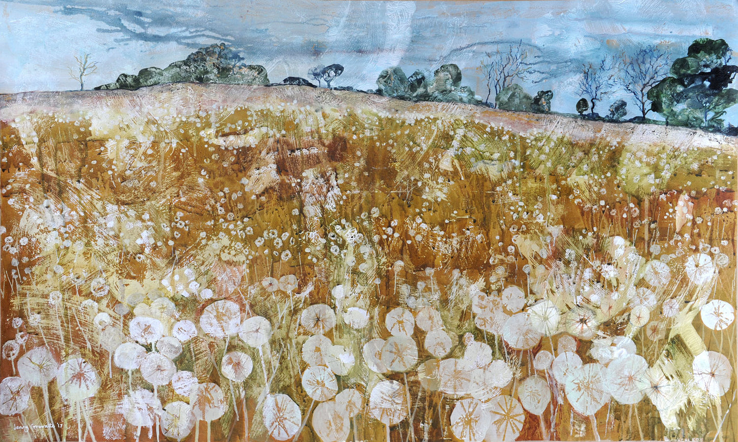 Dandelion Seed Heads, June