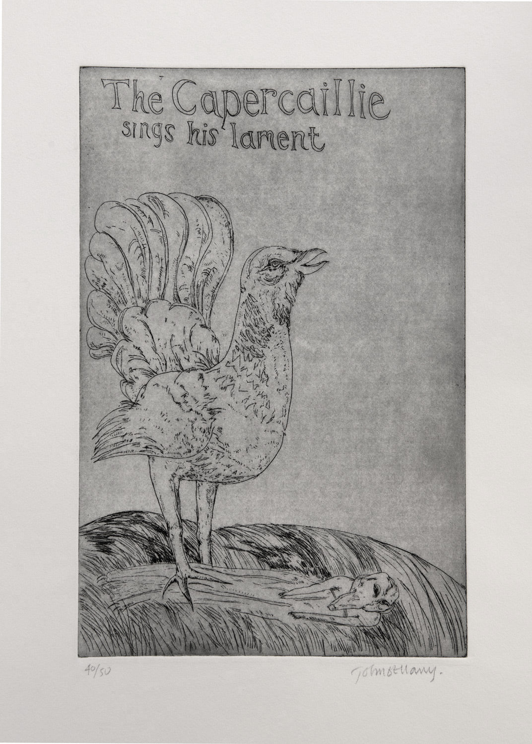 The Capercaille Sings His Lament