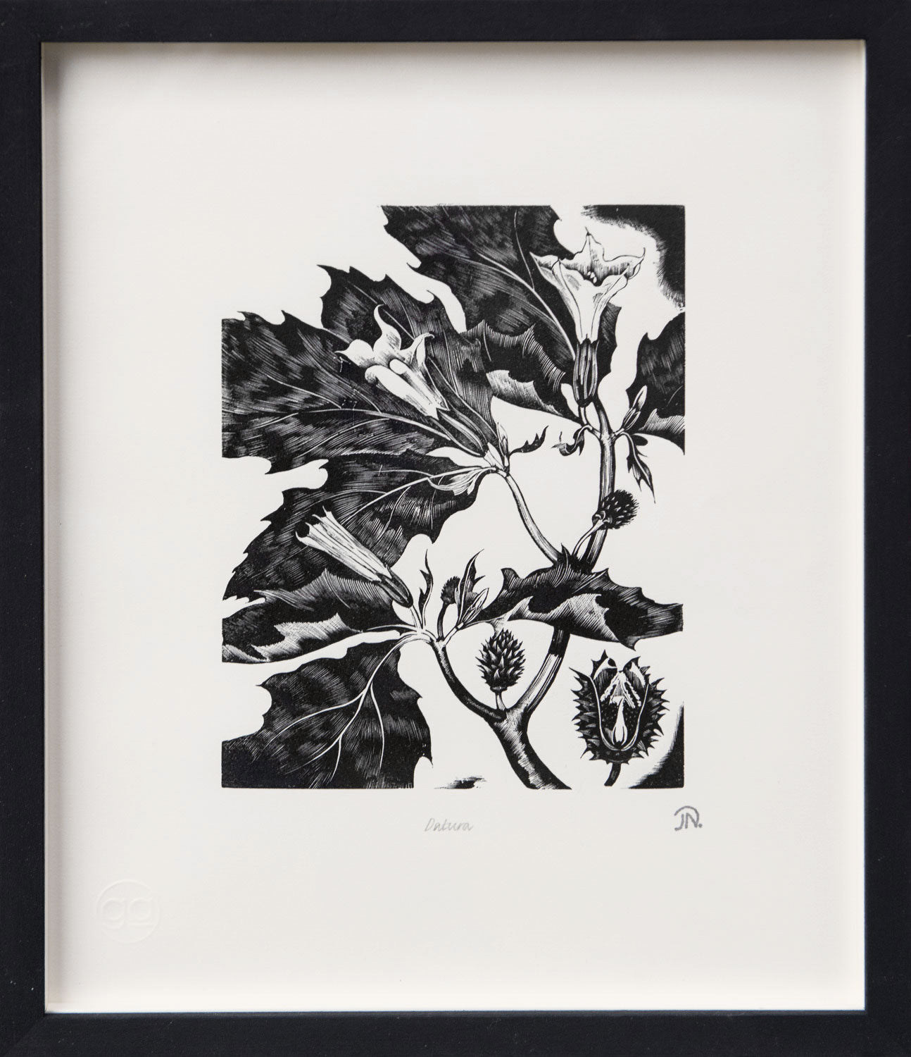 Datura, Poisonous Plants