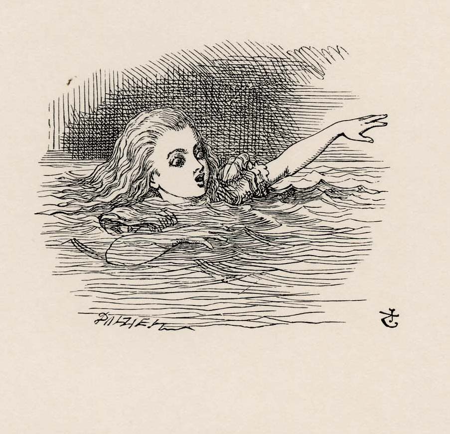 As she said these words her foot slipped, and in another moment, Splash! she was up to her chin in salt water