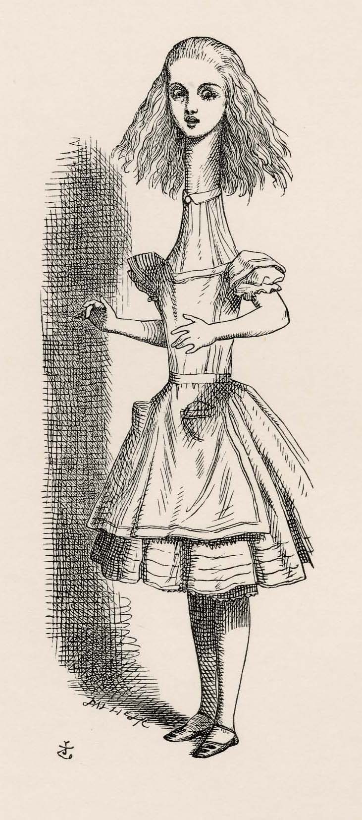 Curiouser and curiouser!' cried Alice...