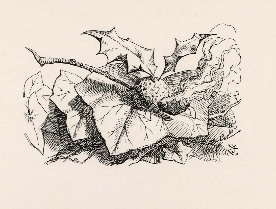 'Its body is made of plum-pudding, its wings of holly-leaves, and its head is a raisin burning in brandy'